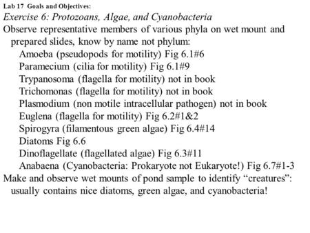 Lab 17 Goals and Objectives: Exercise 6: Protozoans, Algae, and Cyanobacteria Observe representative members of various phyla on wet mount and prepared.