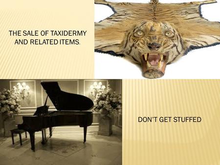 THE SALE OF TAXIDERMY AND RELATED ITEMS. DON’T GET STUFFED.