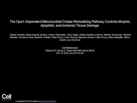 The Opa1-Dependent Mitochondrial Cristae Remodeling Pathway Controls Atrophic, Apoptotic, and Ischemic Tissue Damage Tatiana Varanita, Maria Eugenia Soriano,