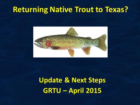 Returning Native Trout to Texas? 1 Update & Next Steps GRTU – April 2015.