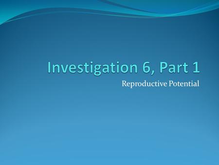 Reproductive Potential. Warm up What is a population? All the individuals of a species that are living in an area at one time.