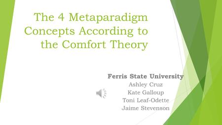 The 4 Metaparadigm Concepts According to the Comfort Theory