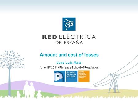 Amount and cost of losses June 11 th 2014 - Florence School of Regulation Jose Luis Mata.