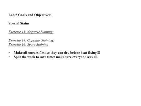 Lab 5 Goals and Objectives: Special Stains Exercise 13: Negative Staining: Exercise 14: Capsular Staining: Exercise 16: Spore Staining Make all smears.