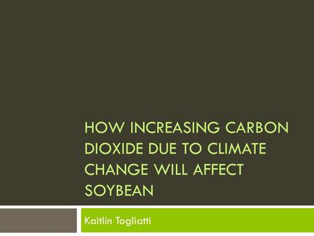 HOW INCREASING CARBON DIOXIDE DUE TO CLIMATE CHANGE WILL AFFECT SOYBEAN Kaitlin Togliatti.