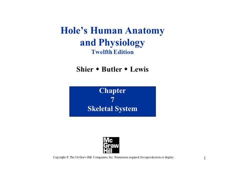 Chapter 7 Skeletal System