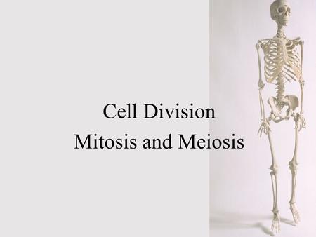 Cell Division Mitosis and Meiosis