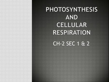 Photosynthesis and Cellular Respiration