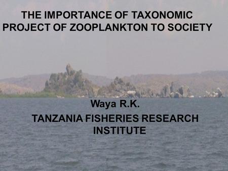 THE IMPORTANCE OF TAXONOMIC PROJECT OF ZOOPLANKTON TO SOCIETY Waya R.K. TANZANIA FISHERIES RESEARCH INSTITUTE.