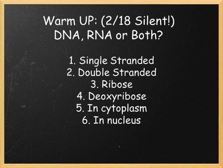 Warm UP: (2/18 Silent!) DNA, RNA or Both? 1. Single Stranded 2. Double Stranded 3. Ribose 4. Deoxyribose 5. In cytoplasm 6. In nucleus.