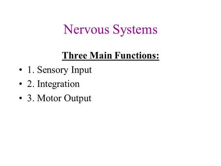 Nervous Systems Three Main Functions: 1. Sensory Input 2. Integration 3. Motor Output.