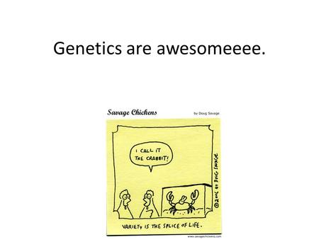 Genetics are awesomeeee.. Structure of DNA Each DNA molecule is made up of two very long polymers Double helix: is the shape Nucleotides: are the building.