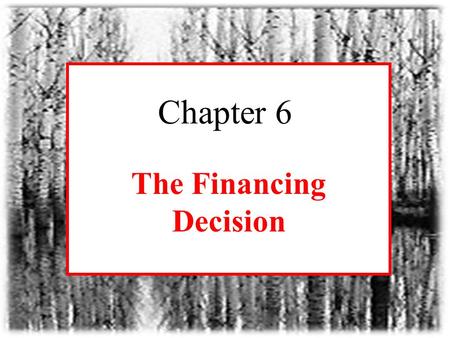 Irwin/McGraw-Hill Chapter 6 The Financing Decision.