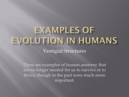 Vestigial Structures These are examples of human anatomy that are no longer needed for us to survive or to thrive, though in the past were much more important.