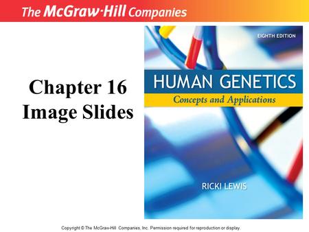 Title Copyright © The McGraw-Hill Companies, Inc. Permission required for reproduction or display. Chapter 16 Image Slides.