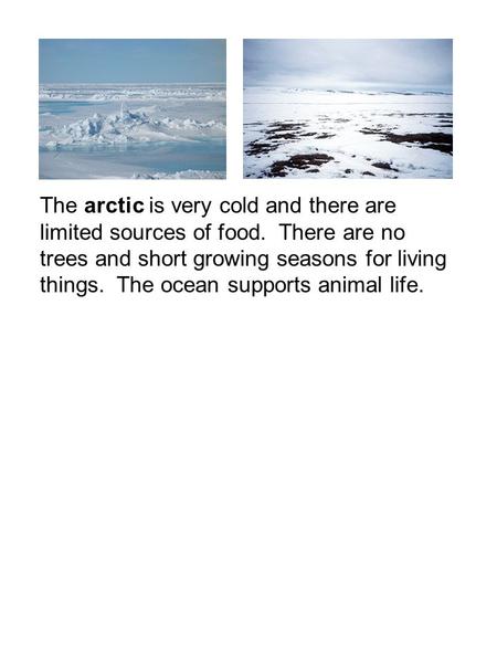 The arctic is very cold and there are limited sources of food