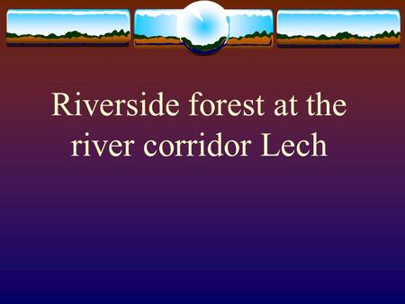 Riverside forest at the river corridor Lech. Important for the development of societies  Elevation above the river and the water level  Speed of fluid.