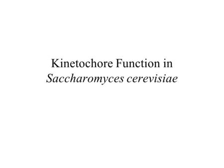 Kinetochore Function in Saccharomyces cerevisiae.