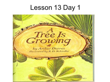 Lesson 13 Day 1. T272 Question of the Day Where do you go to enjoy nature? When I want to enjoy nature, I go to ________ so I can _______.