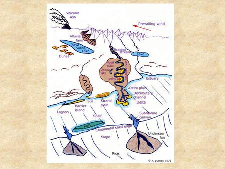 SEDIMENTARY ARCHIVES Marine Environment SEDIMENTARY ARCHIVES Marine Environment Continental Shelf Flat, smooth regions that fringe continents Few km.