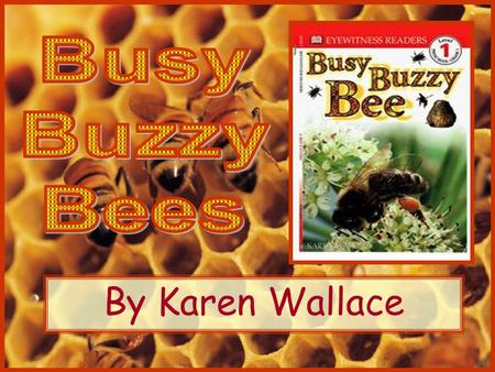 By Karen Wallace. Karen Wallace was born on April Fool's Day in 1951. She grew up in a log cabin where she could watch bears from far away. She still.