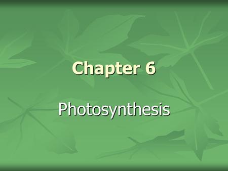 Chapter 6 Photosynthesis.