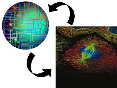 The field of science in which biology, computer science, and information technology merge into a single discipline. NCBI, Aug 2001 BIO INFORMATICS BIOLOGY.