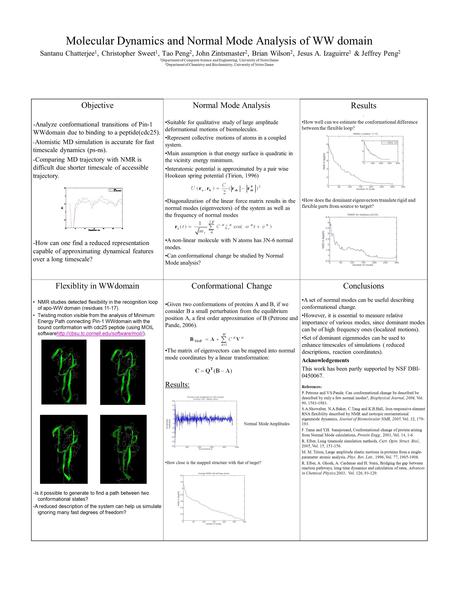 Molecular Dynamics and Normal Mode Analysis of WW domain Santanu Chatterjee 1, Christopher Sweet 1, Tao Peng 2, John Zintsmaster 2, Brian Wilson 2, Jesus.