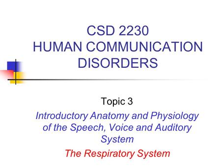 CSD 2230 HUMAN COMMUNICATION DISORDERS Topic 3 Introductory Anatomy and Physiology of the Speech, Voice and Auditory System The Respiratory System.