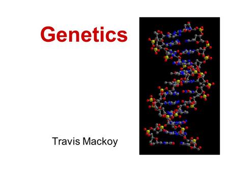 Genetics Travis Mackoy. Gregor Mendel 1860s Developed basic principles of genetics Studied genetics of pea plants.