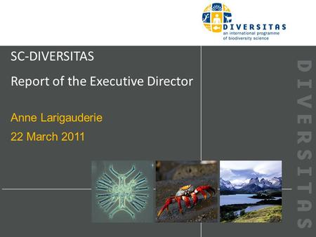 SC-DIVERSITAS Report of the Executive Director Anne Larigauderie 22 March 2011.