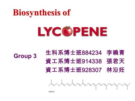 Biosynthesis of 生科系博士班 884234 李曉青 資工系博士班 914338 張君天 資工系博士班 928307 林沿妊 Group 3.