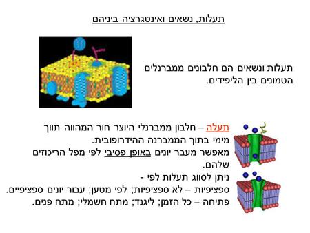 תעלות, נשאים ואינטגרציה ביניהם