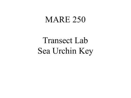 MARE 250 Transect Lab Sea Urchin Key.