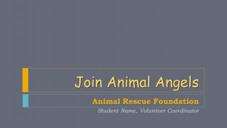 Join Animal Angels Animal Rescue Foundation Student Name, Volunteer Coordinator.