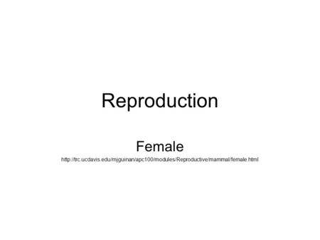 Reproduction Female