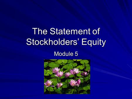 The Statement of Stockholders’ Equity