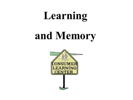 Learning and Memory. What is Learning? A change in Behaviour caused by experience. What is Consumer learning?