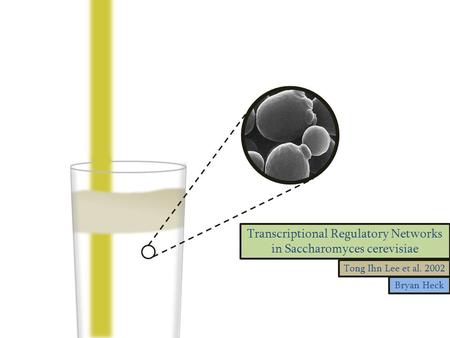 Bryan Heck Tong Ihn Lee et al. 2002 Transcriptional Regulatory Networks in Saccharomyces cerevisiae.