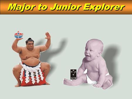 Major to Junior Explorer. Majors Lots of cash Cash-poor Big team Small team with contractors & consultants Broad area / worldwide Focussed area (NSW ?)