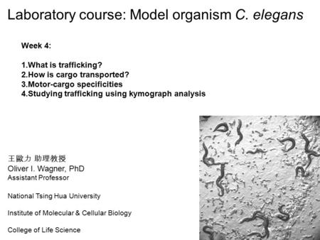 王歐力 助理教授 Oliver I. Wagner, PhD Assistant Professor National Tsing Hua University Institute of Molecular & Cellular Biology College of Life Science Laboratory.