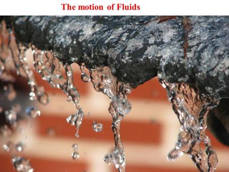 The motion of Fluids.