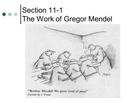 Section 11-1 The Work of Gregor Mendel. Gregor Mendel Genetics – the scientific study of heredity Gregor Mendel – used garden peas to study heredity,