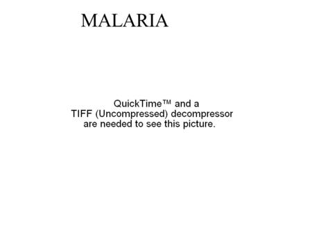 MALARIA A Family of nine, all with Malarial Symptoms. Photo: Darshan Sudarshi.