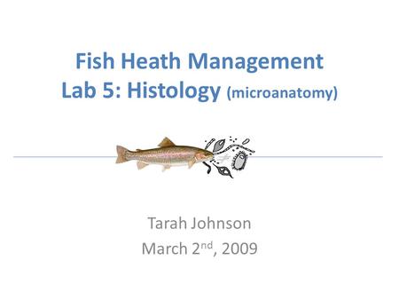 Fish Heath Management Lab 5: Histology (microanatomy) Tarah Johnson March 2 nd, 2009.