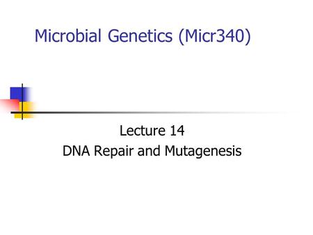 Microbial Genetics (Micr340) Lecture 14 DNA Repair and Mutagenesis.