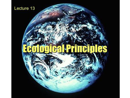 Ecological Principles Lecture 13. Ecology = the study of the interaction of organisms with their environments.