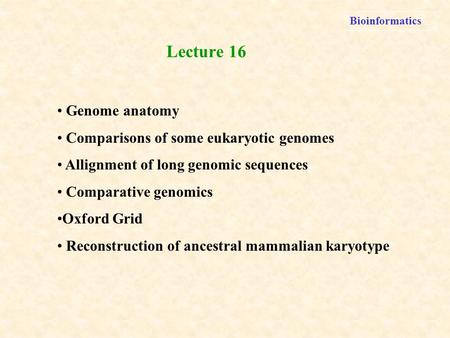 Bioinformatics Genome anatomy Comparisons of some eukaryotic genomes Allignment of long genomic sequences Comparative genomics Oxford Grid Reconstruction.