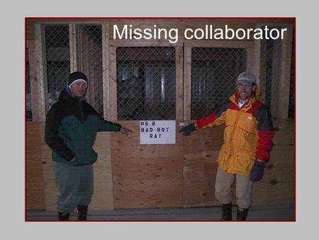 Missing collaborator. Conceptual Overview SHIRAZ Landscape Processes Land Use Freshwater Habitat Biological Response Land use & landscape processes affect.