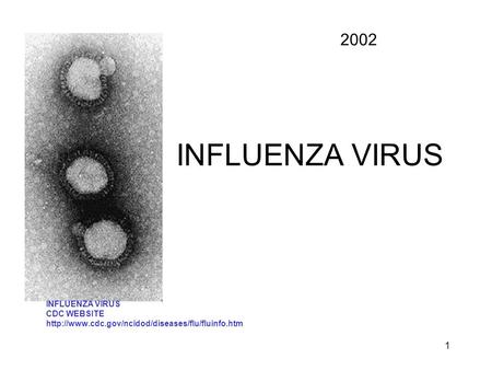 1 INFLUENZA VIRUS CDC WEBSITE  2002.